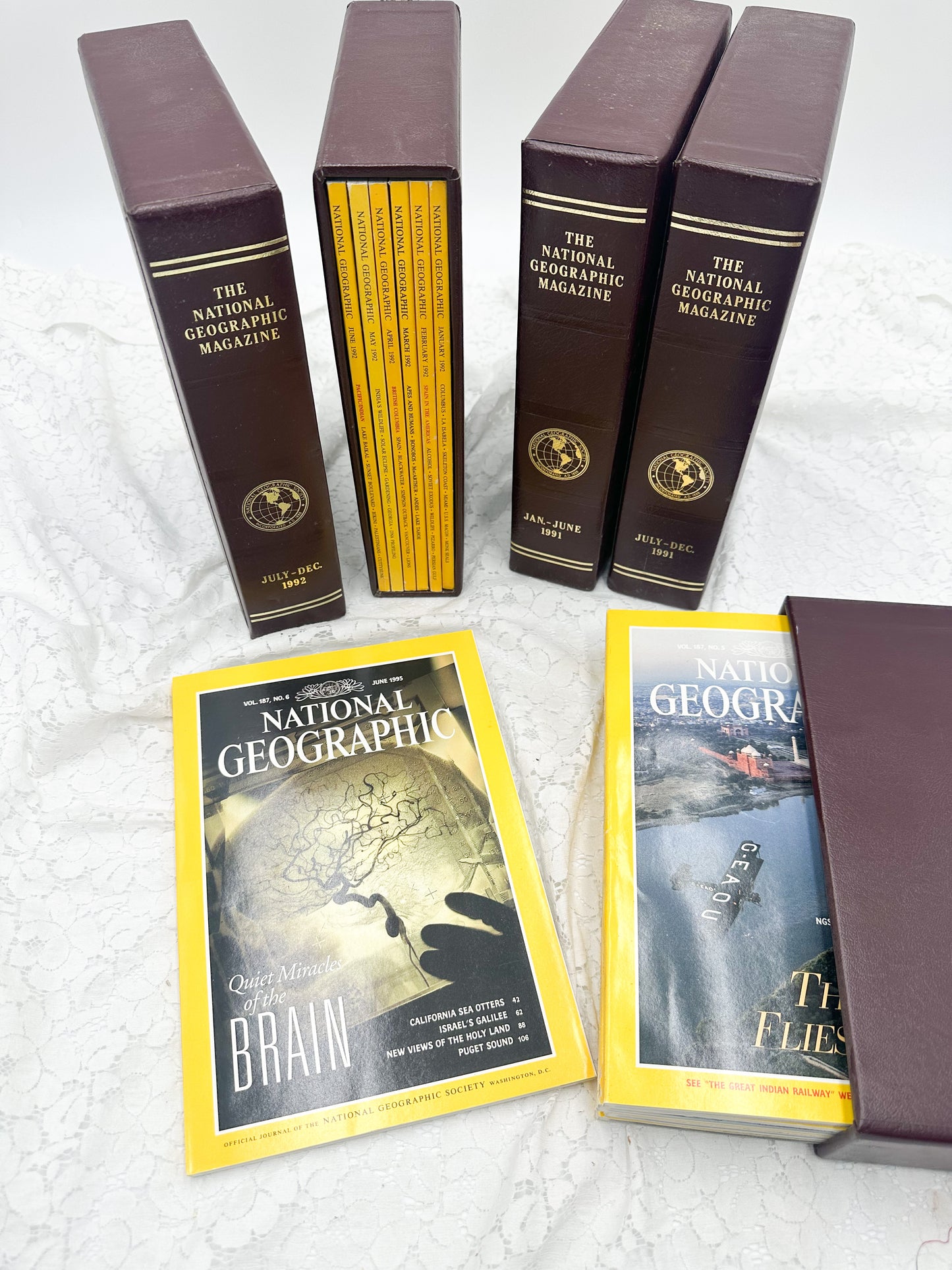 National Geographic Magazine Box (Choose your year)