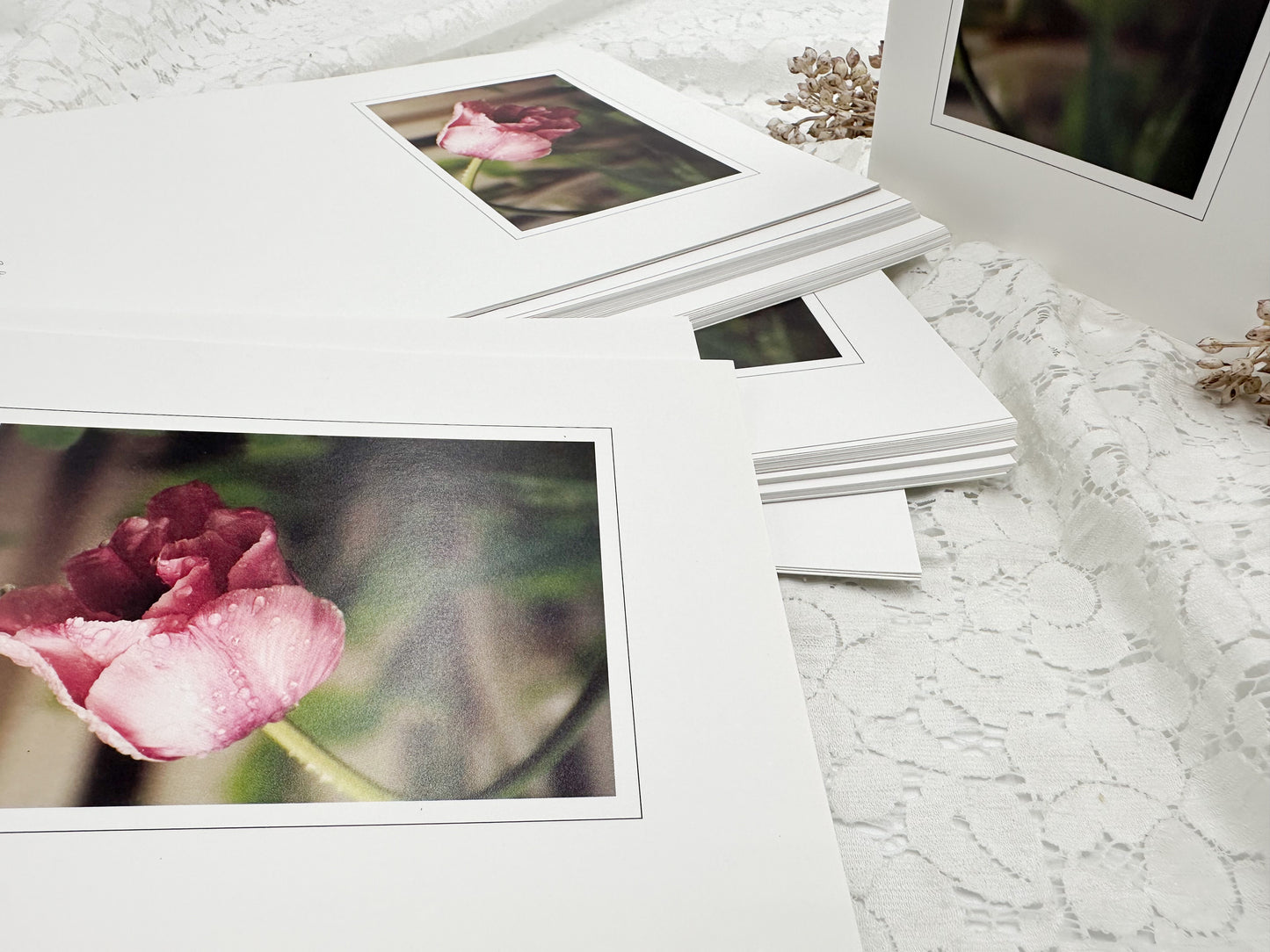 Tulip Greeting Cards