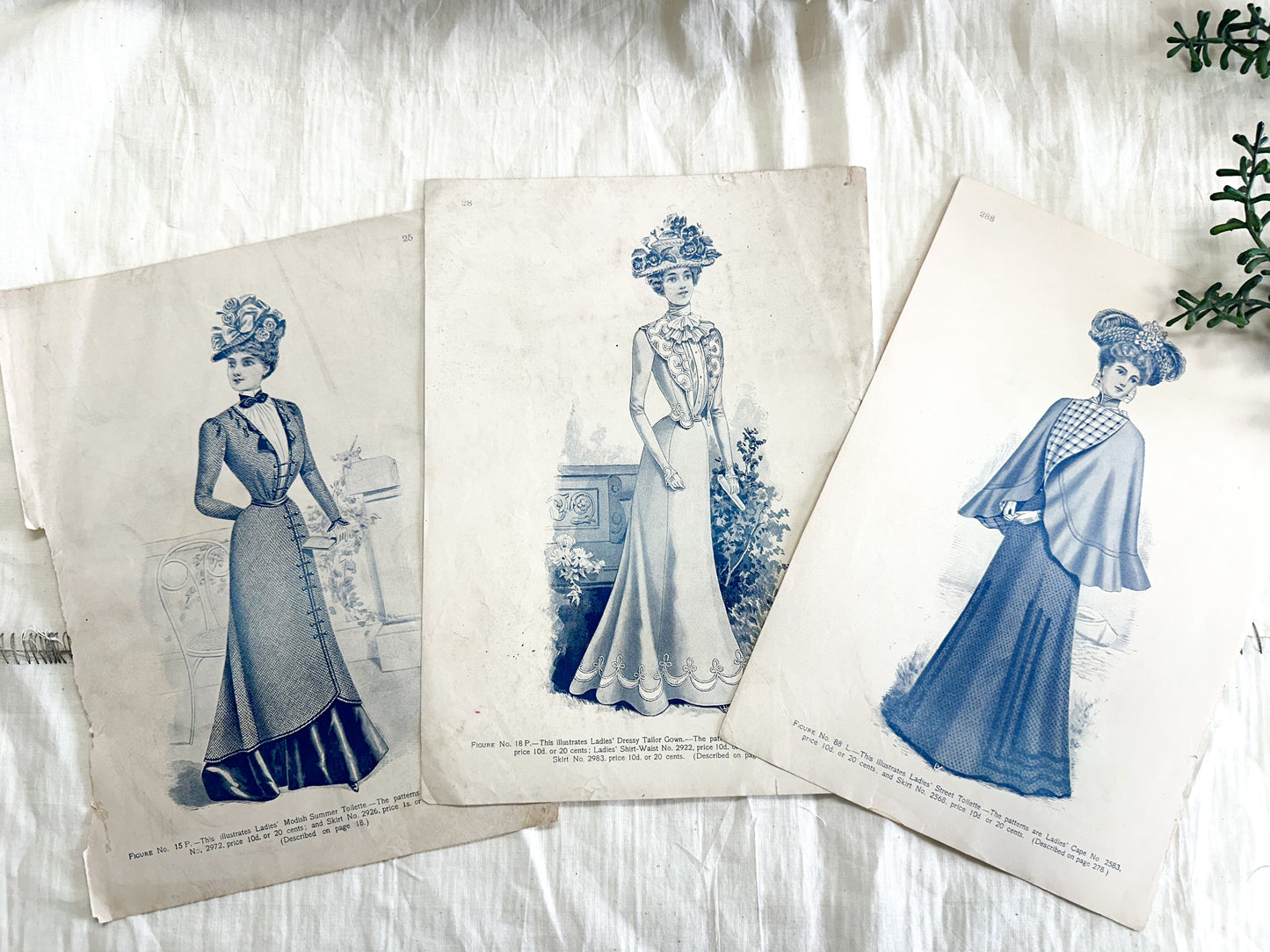 Vintage Fashion Pages