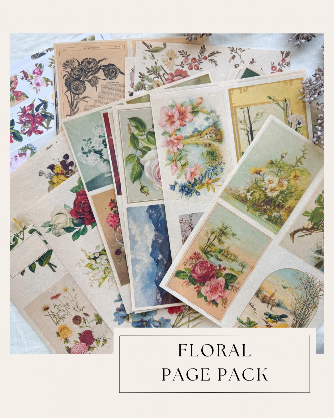 Junk Journal Page Pack- Floral