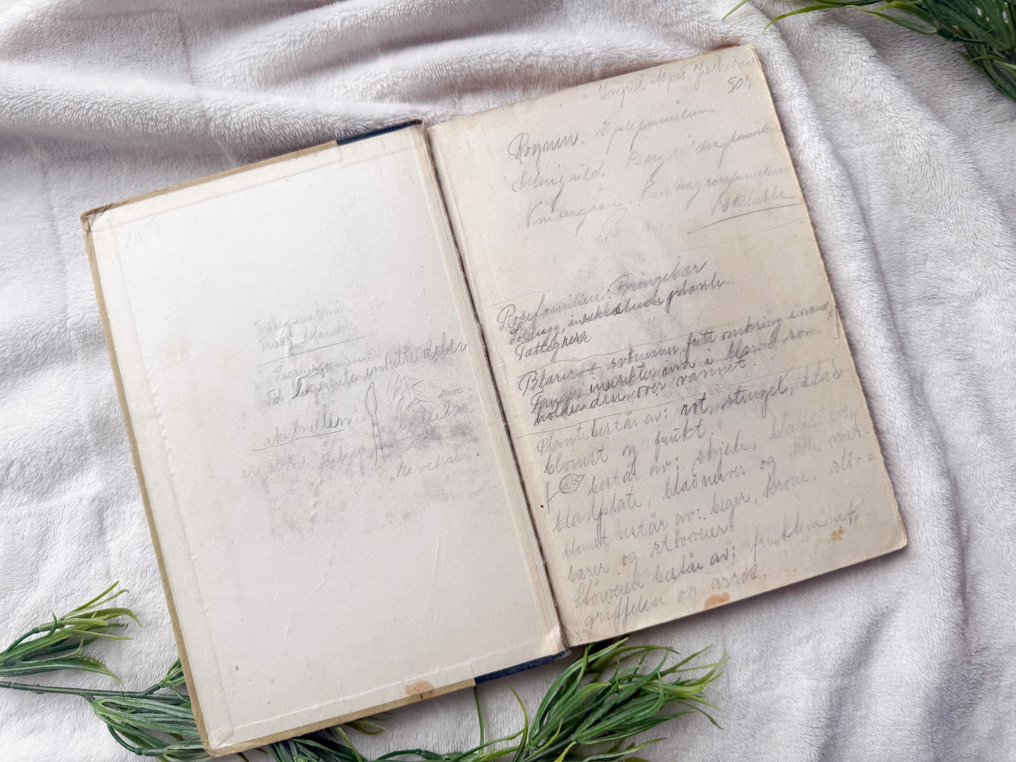 Vintage Botany Book with Writings