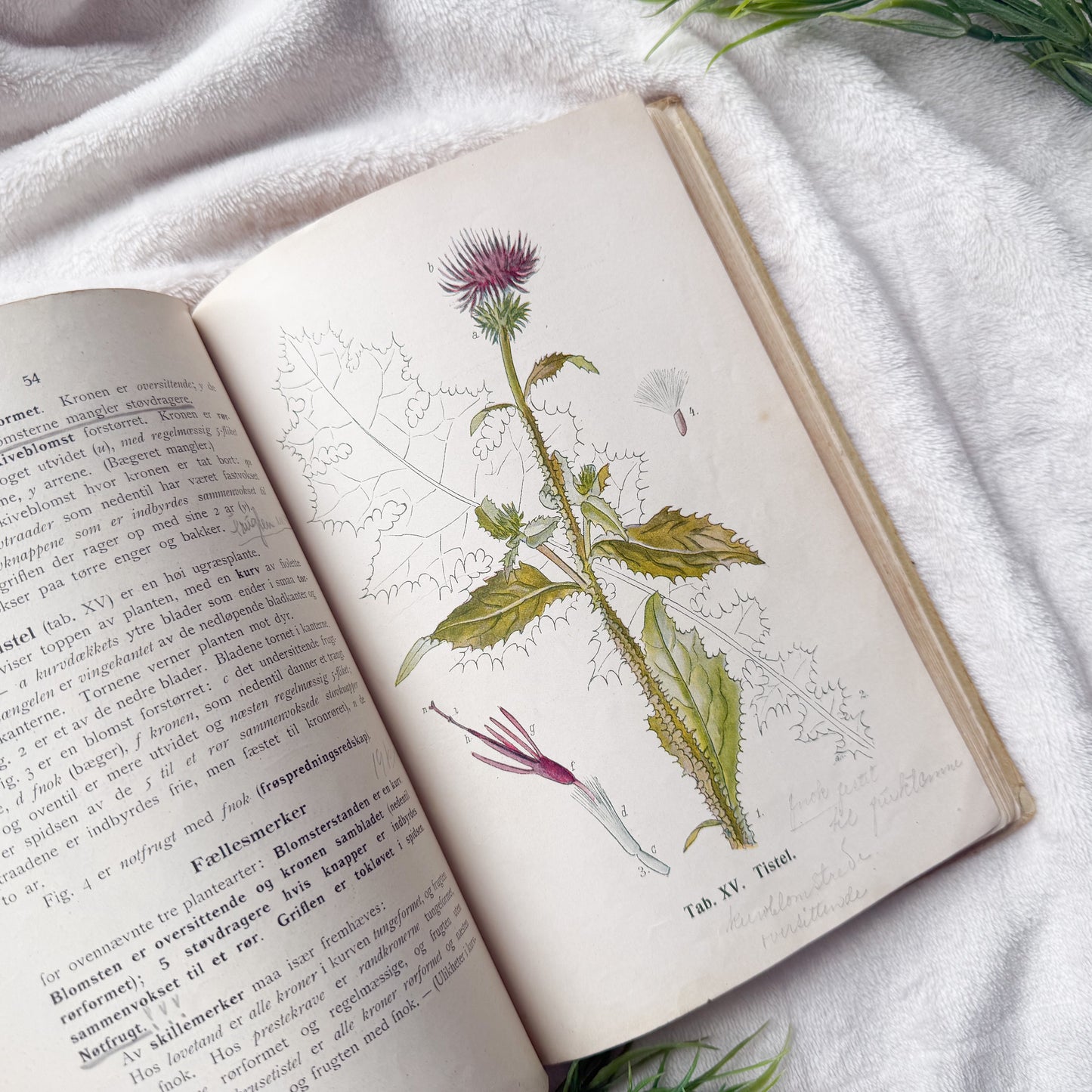 Vintage Botany Book with Writings