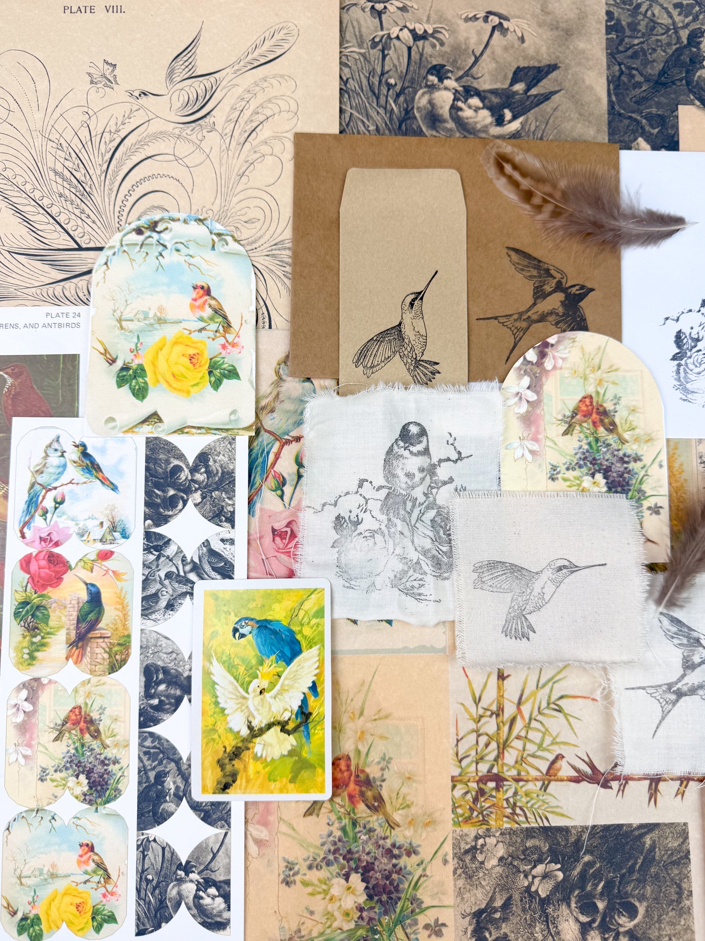 Bird and Nature Ephemera Kit