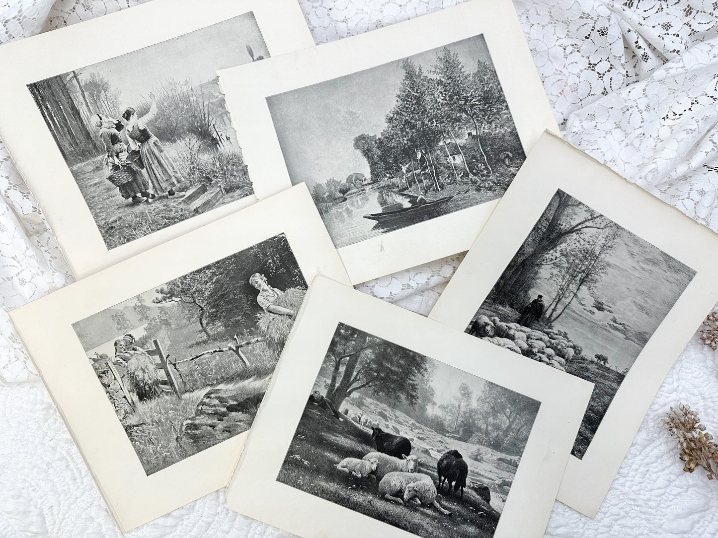 1894 Vintage Print Set