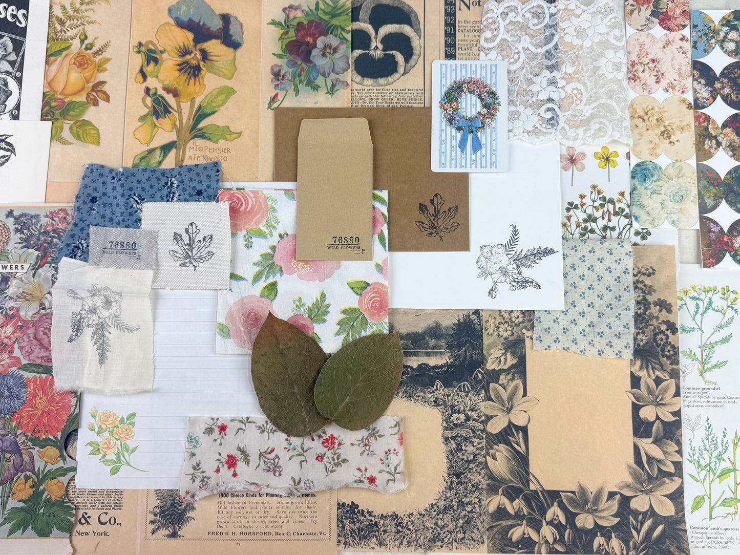 Botanical and Nature Ephemera Kit