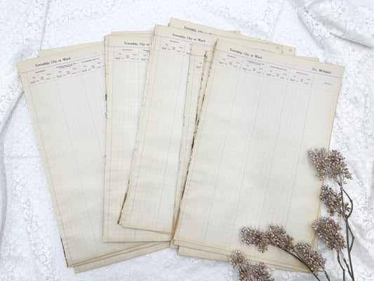 Vintage Ledger Township Page Pack (Set of 5)