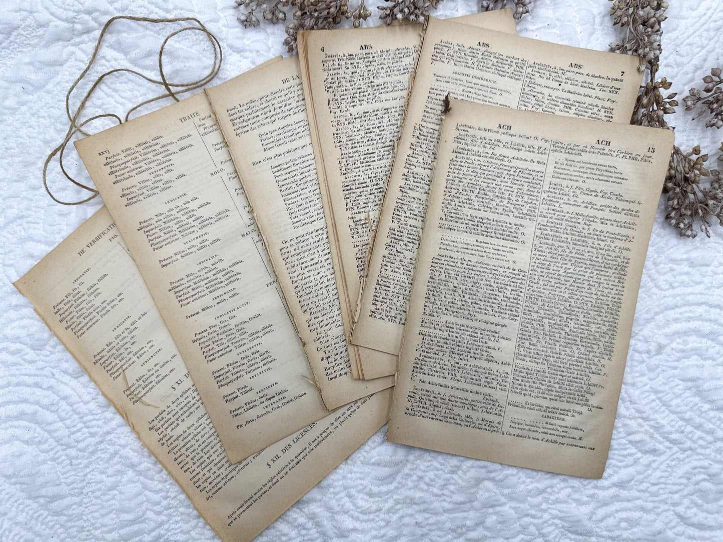 Vintage Latin-French Book Pages (Set of 20)