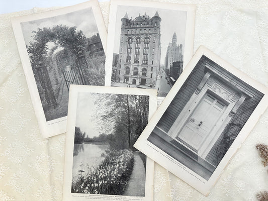 Vintage Image Set