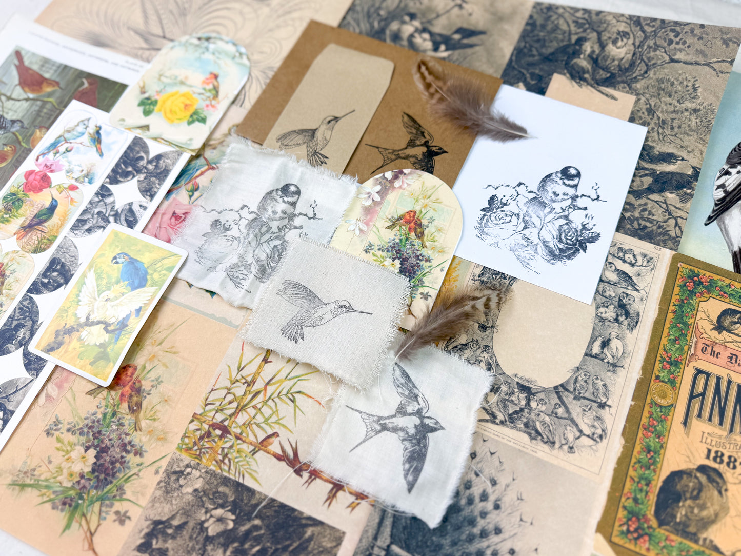 Bird and Nature Ephemera Kit