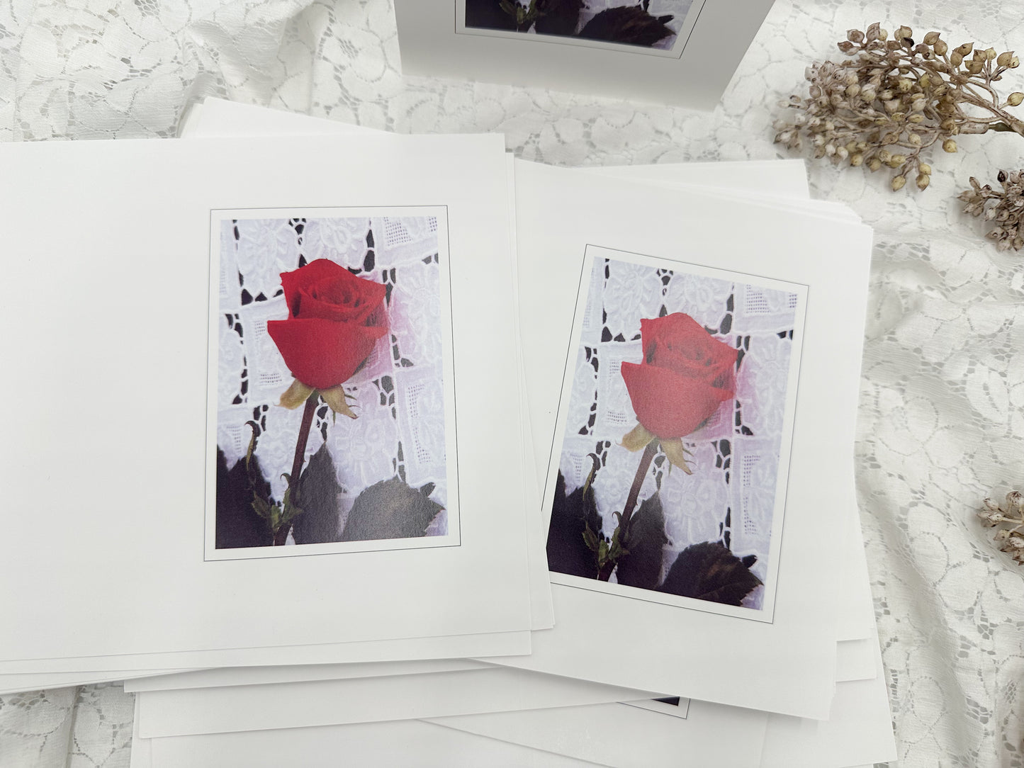 Rose Greeting Card