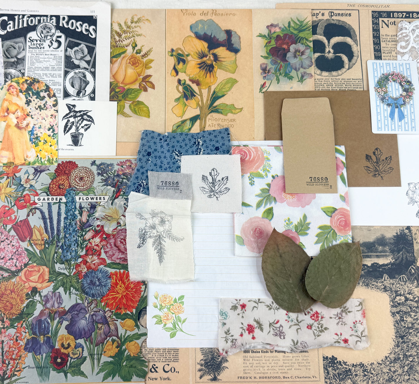 Botanical and Nature Ephemera Kit