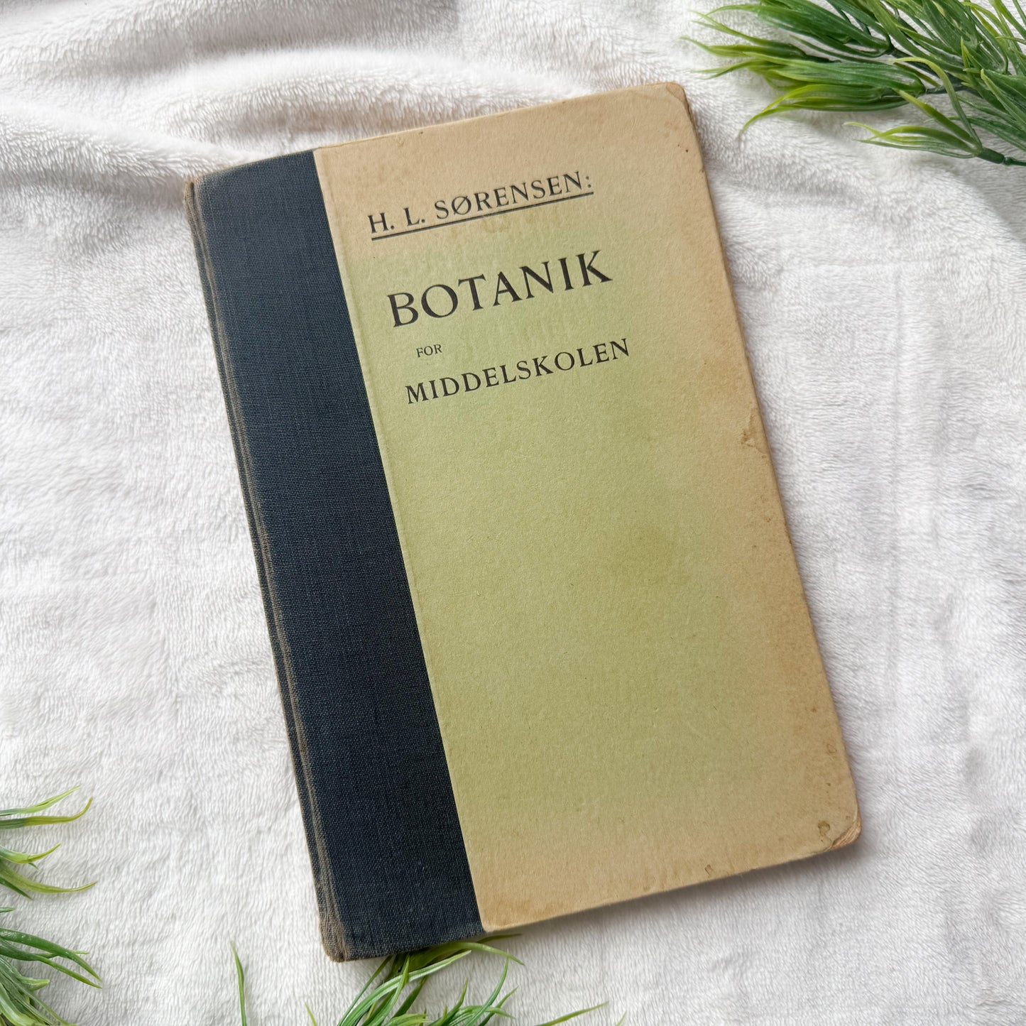 Vintage Botany Book with Writings