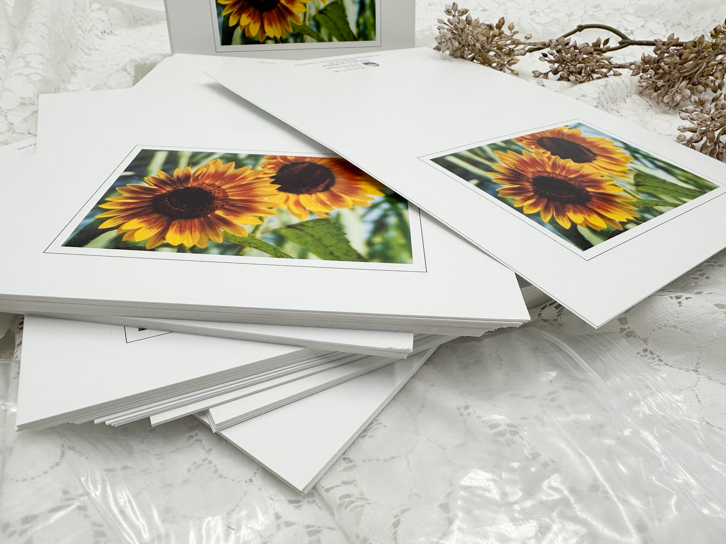 Sunflower Greeting Cards