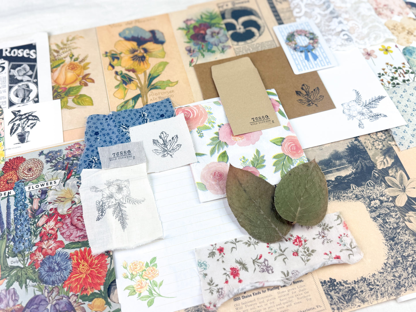 Botanical and Nature Ephemera Kit