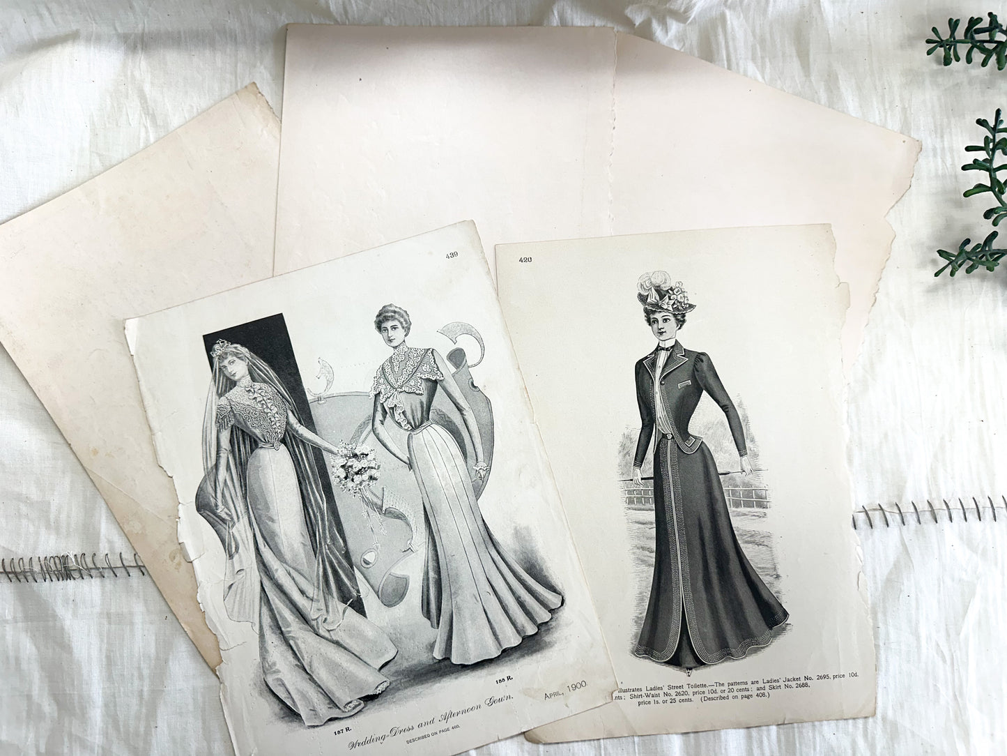 Vintage Fashion Pages