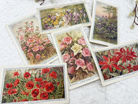 Vintage Floral Cards