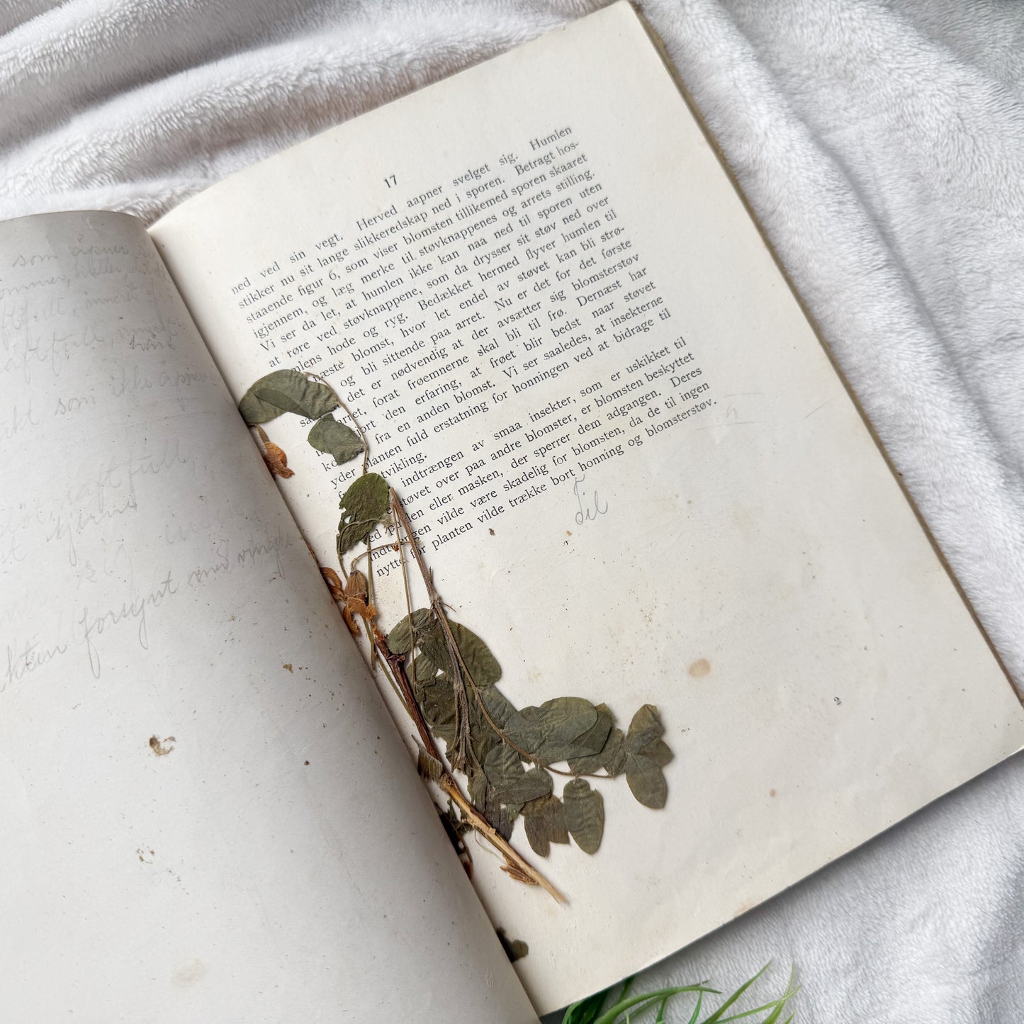 Vintage Botany Book with Writings