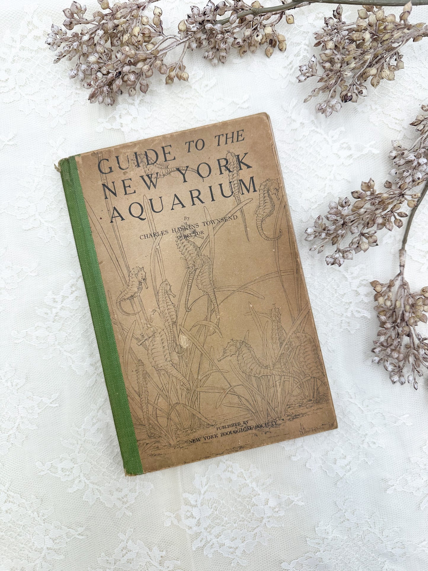 Guide to the NY Aquarium- 1925