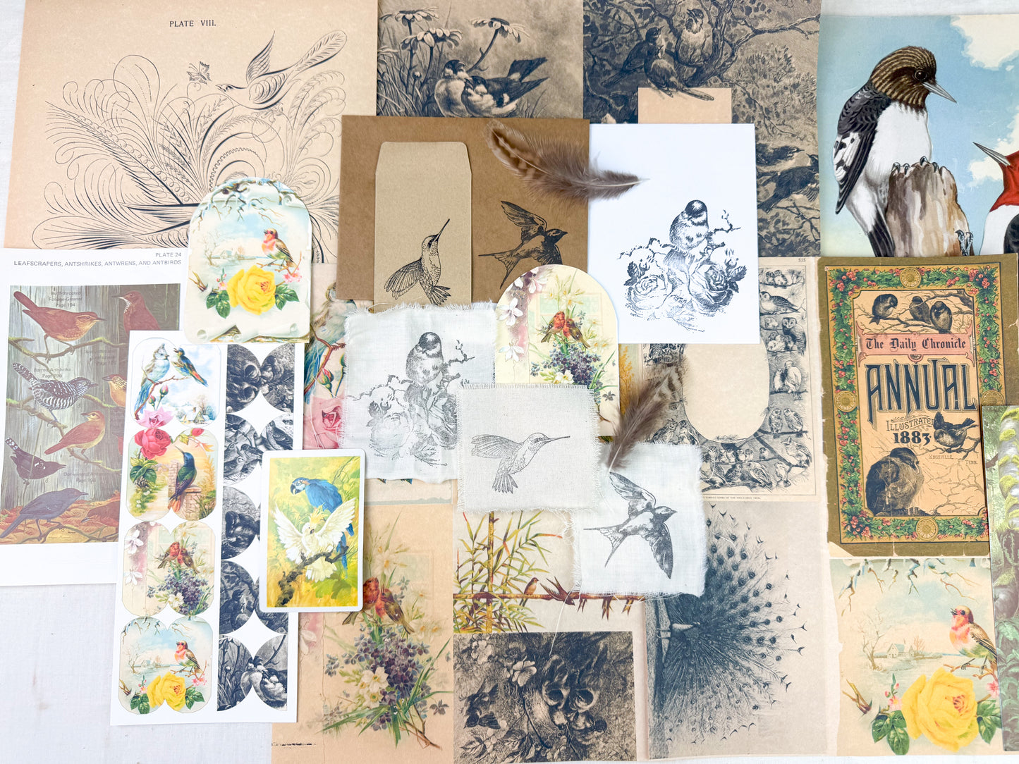 Bird and Nature Ephemera Kit