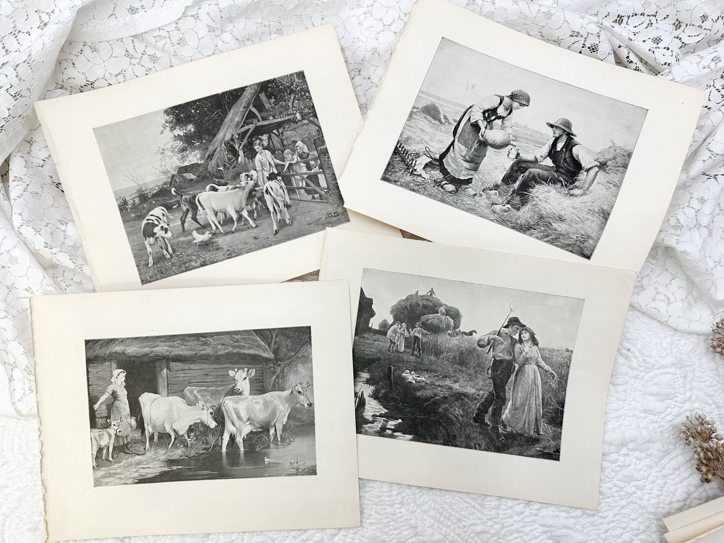 1894 Vintage Print Set