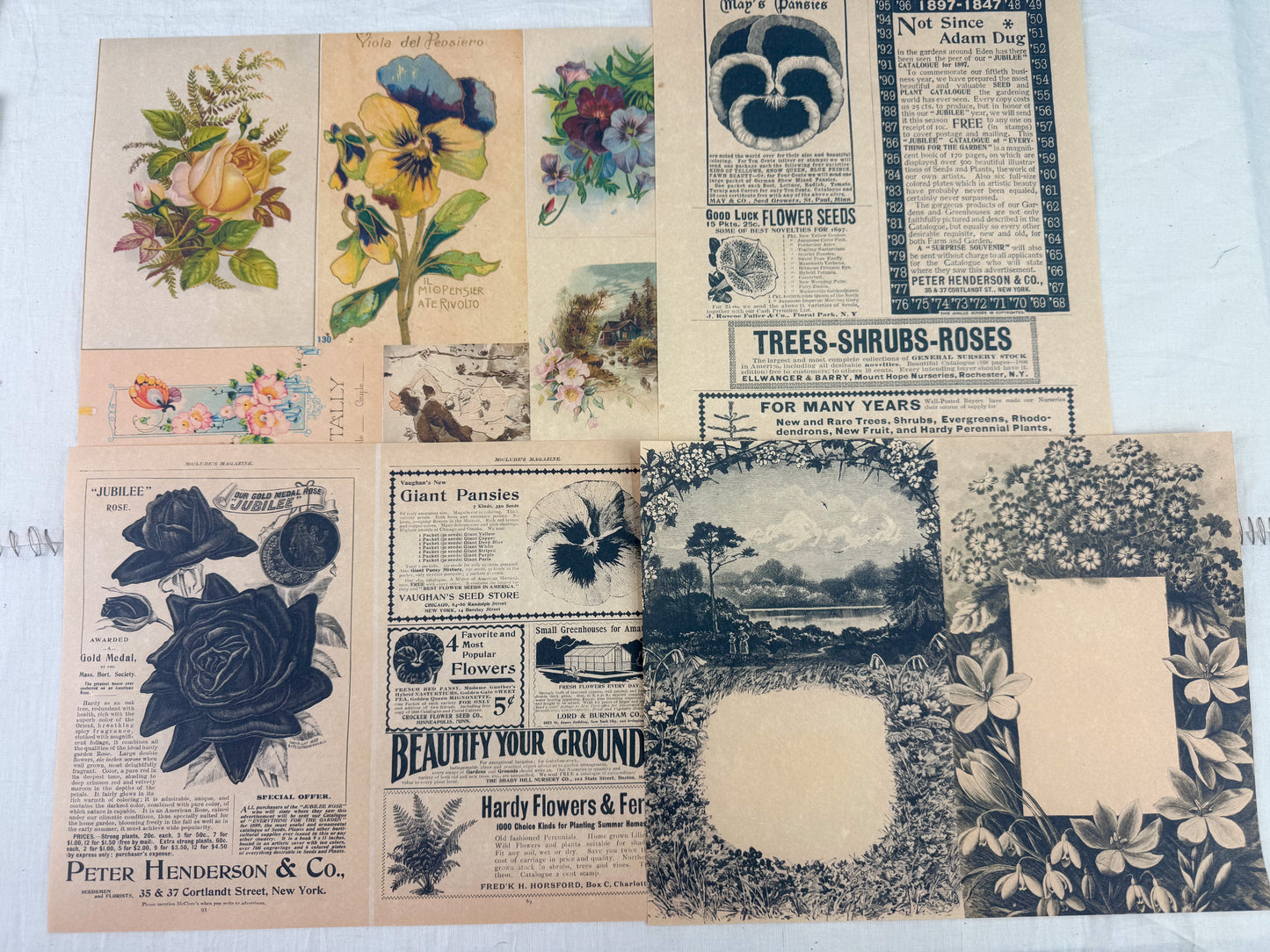 Botanical and Nature Ephemera Kit