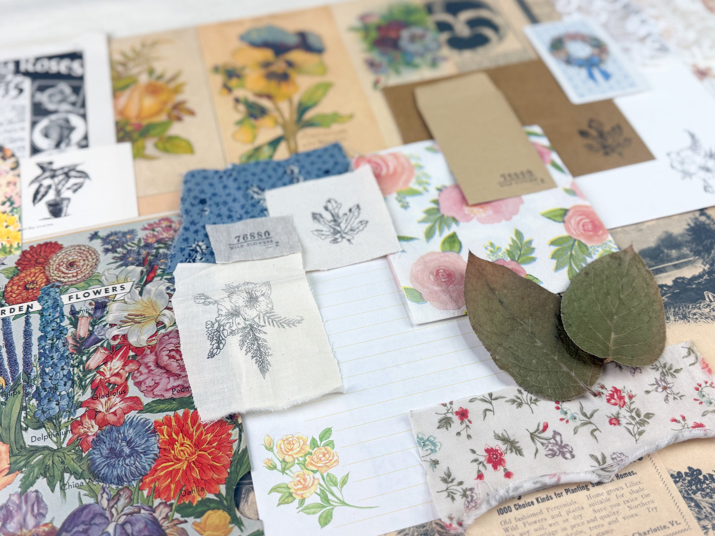 Botanical and Nature Ephemera Kit