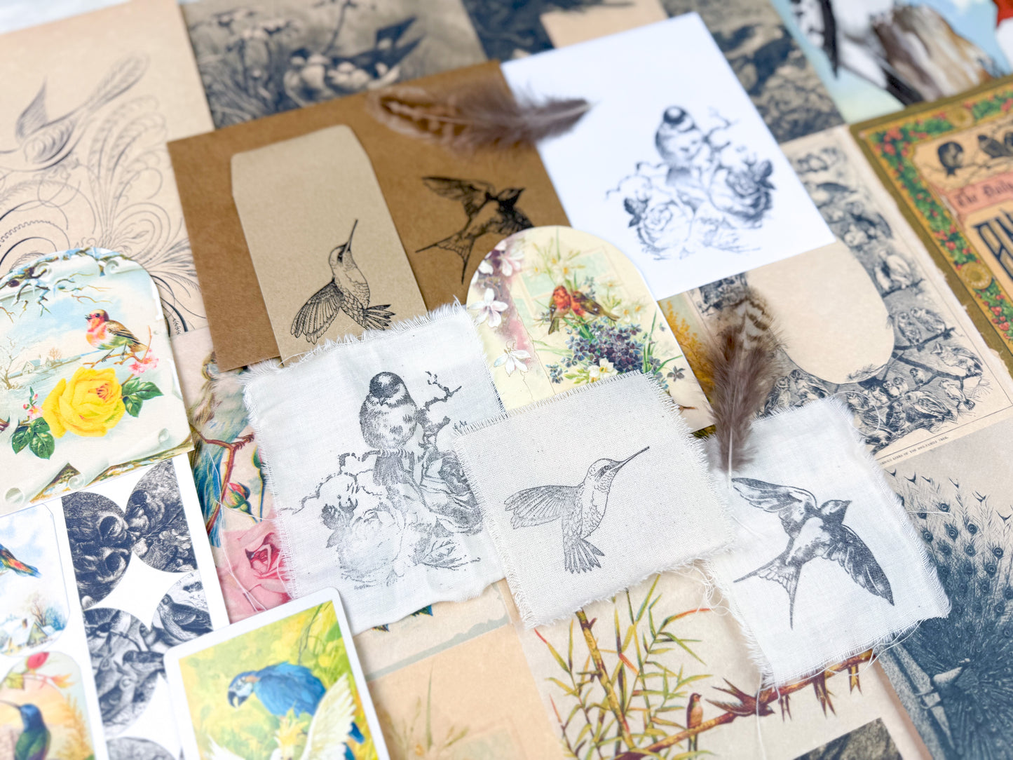 Bird and Nature Ephemera Kit