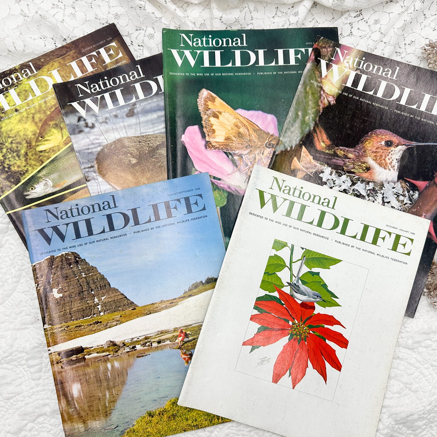 National Wildlife Set- 1969