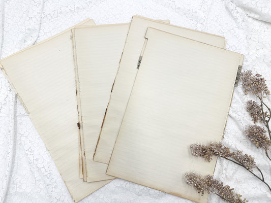 Vintage Ledger Page Pack (Set of 5)