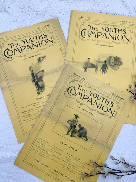 Youth Companion Set