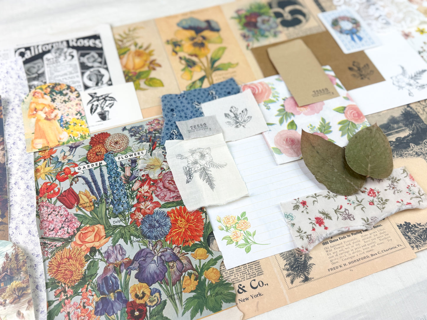 Botanical and Nature Ephemera Kit