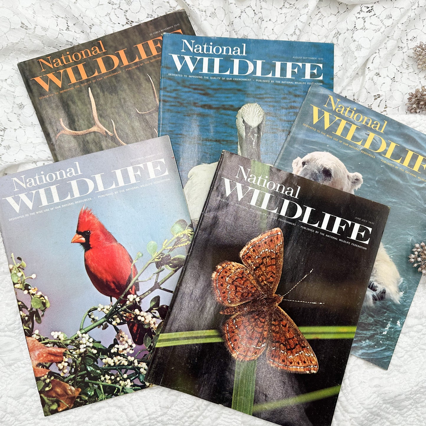 National Wildlife Set- 1970