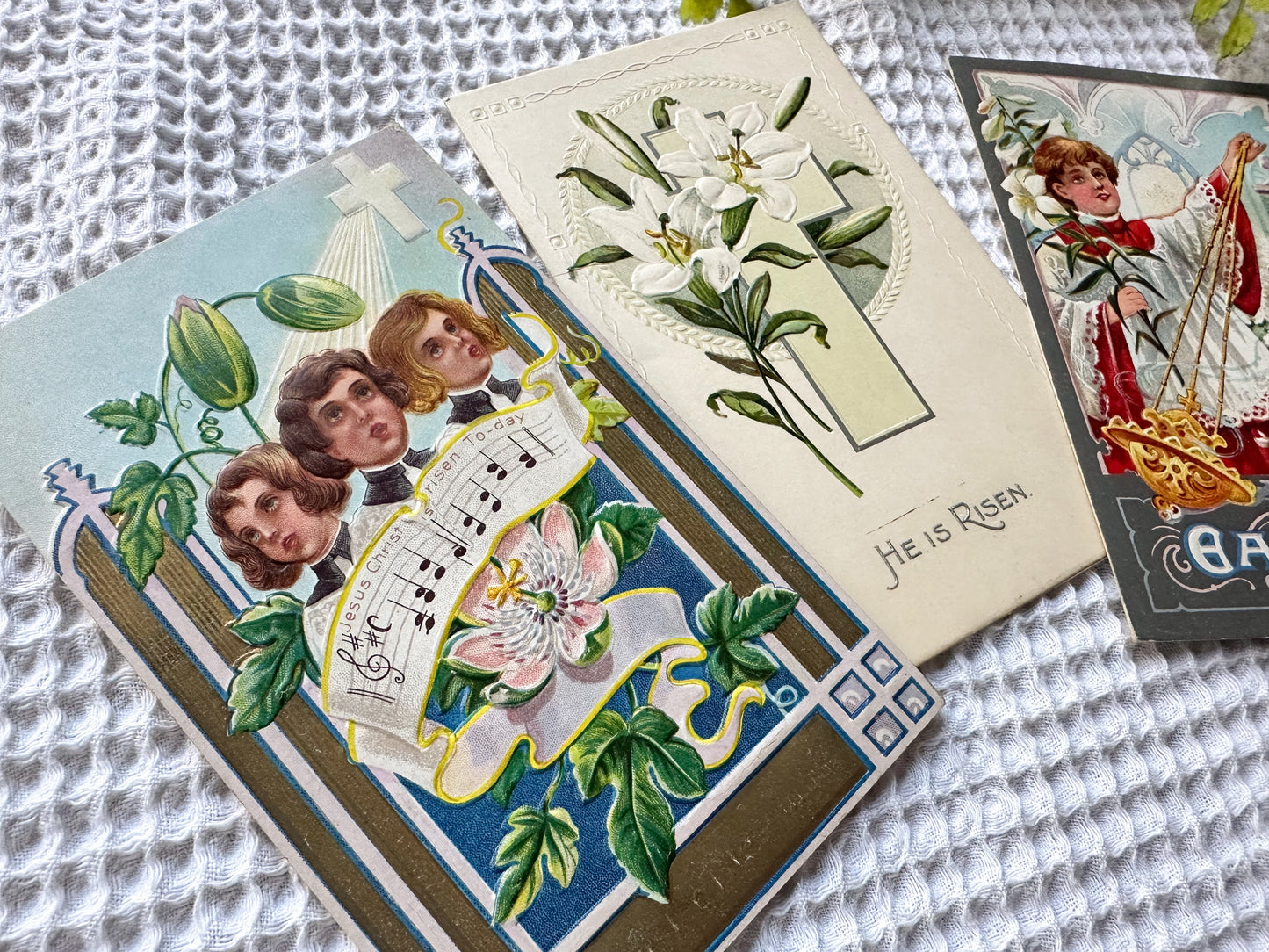 Vintage Postcard Set