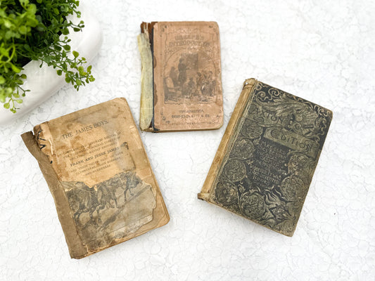 Tattered Books (Set of 3)